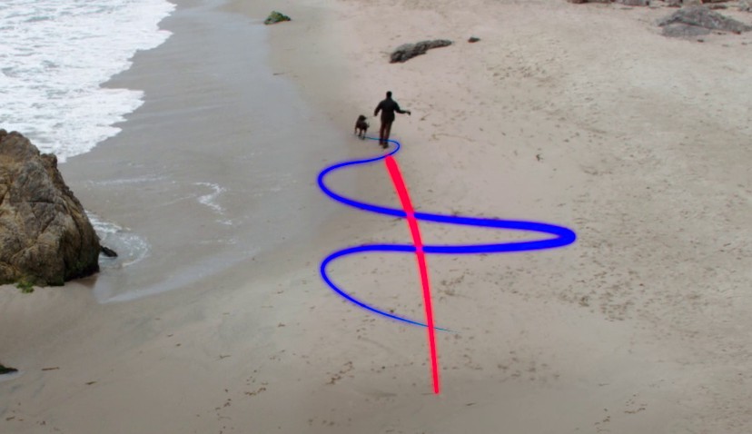 maitre promenant son chien sur la plage